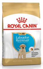 Royal Canin pienille labradorinnoutajille, 12kg hinta ja tiedot | Koiran kuivaruoka | hobbyhall.fi