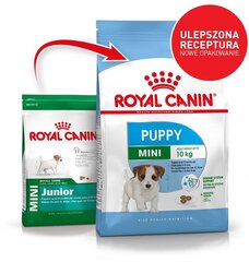 Royal Canin pienille pennuille Mini junior, 4 kg hinta ja tiedot | Koiran kuivaruoka | hobbyhall.fi