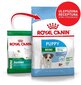 Royal Canin pienille pennuille Mini junior, 4 kg hinta ja tiedot | Koiran kuivaruoka | hobbyhall.fi