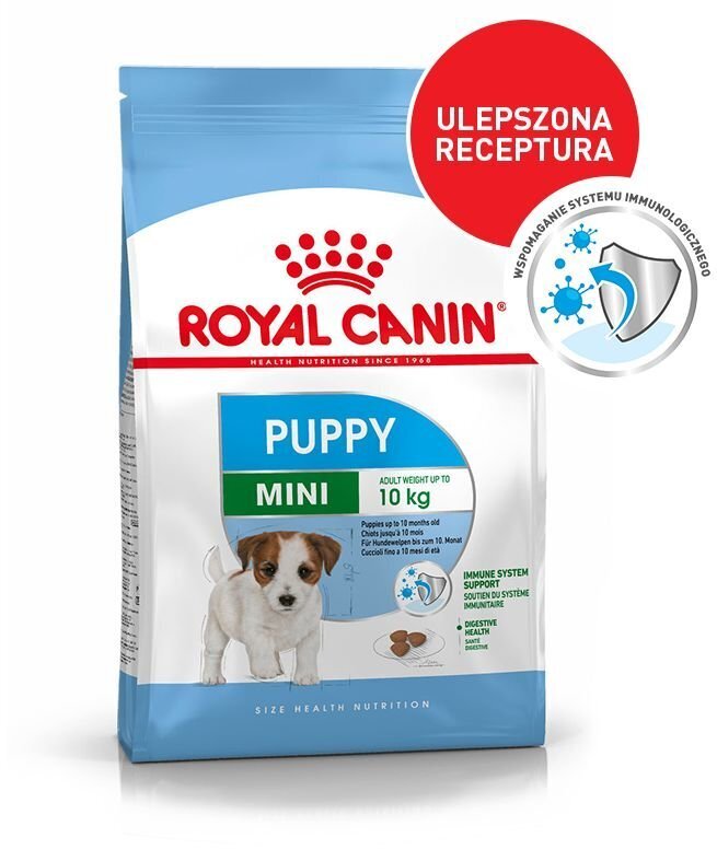 Royal Canin pienille pennuille Mini junior, 4 kg hinta ja tiedot | Koiran kuivaruoka | hobbyhall.fi