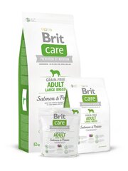 Brit Care Adult Large Breed Salmon & Potato täysravinto aikuisille koirille 3kg hinta ja tiedot | Koiran kuivaruoka | hobbyhall.fi