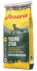 Kuivaruoka koirille Josera Dog Junior Youngstar Grainfree, 15 kg hinta ja tiedot | Koiran kuivaruoka | hobbyhall.fi