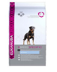 Koiran kuivaruoka Eukanuba Rottweiler, 12 kg hinta ja tiedot | Koiran kuivaruoka | hobbyhall.fi