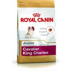 Kuivaruoka spanielinpennuille Royal Canin Cavalier King Charles Junior, 1,5 kg hinta ja tiedot | Koiran kuivaruoka | hobbyhall.fi