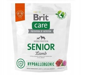 Brit Care Hypoallergenic vanhoille koirille lammas ja riisi, 1 kg hinta ja tiedot | Koiran kuivaruoka | hobbyhall.fi
