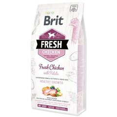 Brit Fresh Chicken with Potato Puppy täysravinto pennuille 12 kg hinta ja tiedot | Brit Fresh Koirat | hobbyhall.fi