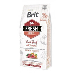 Brit Fresh Beef & Pumpkin Large Bones & Joints täysruokaa koirille 2,5 kg hinta ja tiedot | Brit Fresh Lemmikit | hobbyhall.fi