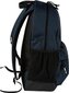 Arena Team Backpack 30 hinta ja tiedot | Urheilukassit ja reput | hobbyhall.fi