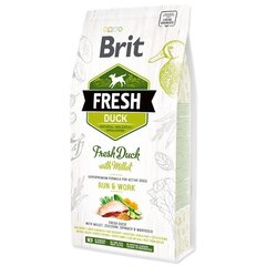 Brit Fresh Duck & Millet Adult Run & Work täysravinto aikuisille koirille 2,5 kg hinta ja tiedot | Brit Fresh Koirat | hobbyhall.fi