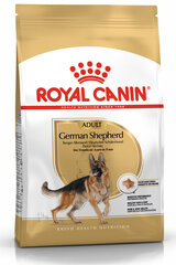 Kuivaruoka Royal Canin aikuisille saksanpaimenkoirille, 11 kg hinta ja tiedot | Koiran kuivaruoka | hobbyhall.fi