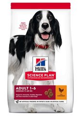 Koiran kuivaruoka Hill's Science Plan Medium Adult -kana, 14 kg hinta ja tiedot | Hill's Lemmikit | hobbyhall.fi