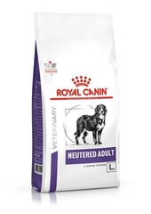 Royal Canin kuivaruoka suurirotuisille koirille steriloinnin jälkeen, alttiina ylipainoille ja nivelongelmille Steriloitu aikuinen iso koira, 13 kg hinta ja tiedot | Koiran kuivaruoka | hobbyhall.fi