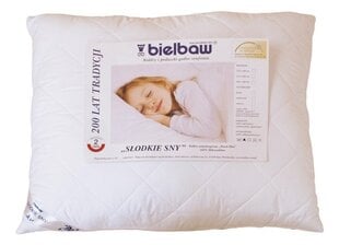 Tyyny Bielbaw, 40x40 cm, valkoinen hinta ja tiedot | Tyynyt | hobbyhall.fi