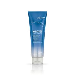 Joico Moisture Recovery Conditioner ravitseva hoitoaine kuiville hiuksille 250 ml hinta ja tiedot | Hoitoaineet | hobbyhall.fi