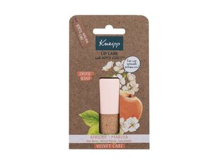 Huulivoide Kneipp Lip Care Apricot & Marula, 4,7 g hinta ja tiedot | Kneipp Meikit | hobbyhall.fi