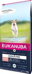 Eukanuba Senior pienille ja keskikokoisille koirille kala, 12 kg hinta ja tiedot | Eukanuba Lemmikit | hobbyhall.fi