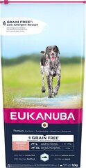 Eukanuba Senior isokokoisille koirille kala, 12 kg hinta ja tiedot | Koiran kuivaruoka | hobbyhall.fi