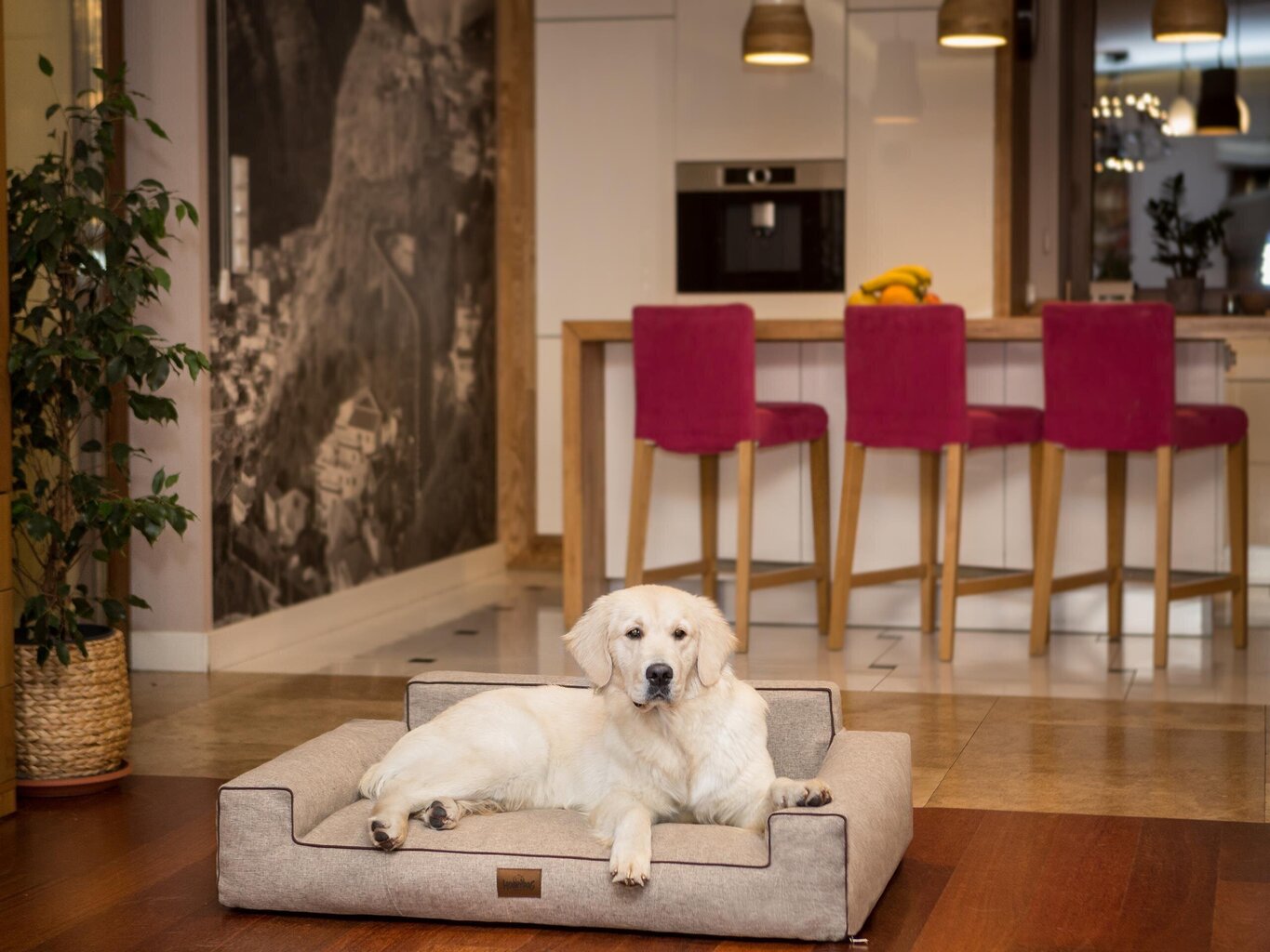 Hobbydog pesä Glamour New Cappuccino Inari, XL, 98x66 cm hinta ja tiedot | Pedit ja pesät | hobbyhall.fi