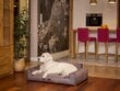 Hobbydog pesa Glamour New Brown Fancy, XXL, 116x78 cm hinta ja tiedot | Pedit ja pesät | hobbyhall.fi