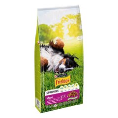 Purina Friskies Maxi koirille naudanliha, 10 kg hinta ja tiedot | Koiran kuivaruoka | hobbyhall.fi