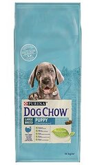 Purina Dog Chow koirille kalkkuna, 14 kg hinta ja tiedot | Koiran kuivaruoka | hobbyhall.fi