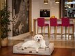 Koiranpesä Glamour New Cappuccino Inari, XXL, 116x78 cm hinta ja tiedot | Pedit ja pesät | hobbyhall.fi