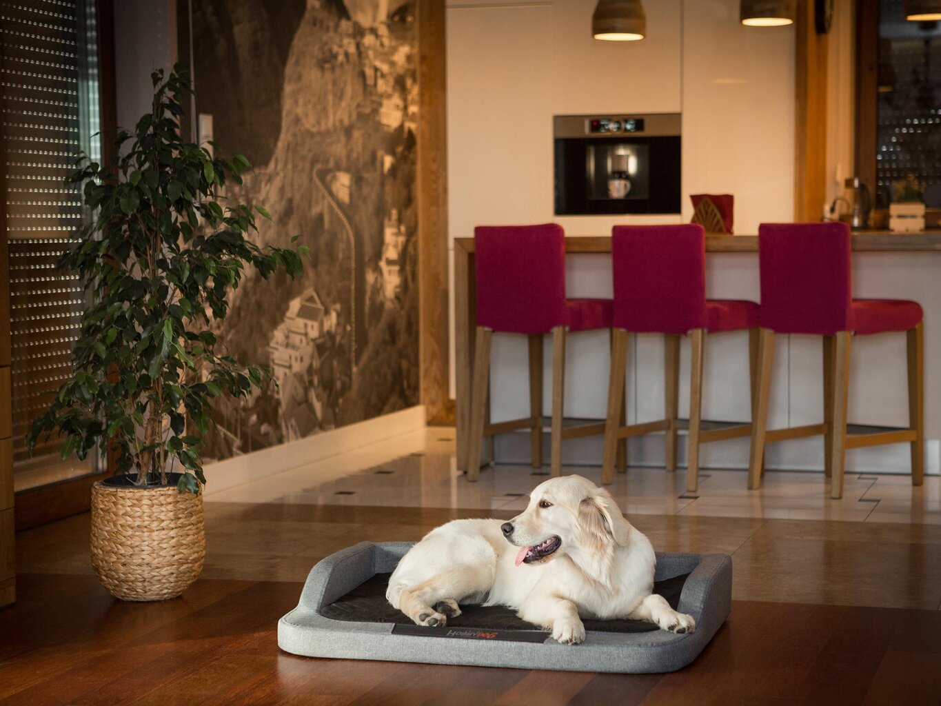Hobbydog -koiran peti Medico Standard tummanharmaa/musta, 75x50 cm hinta ja tiedot | Pedit ja pesät | hobbyhall.fi