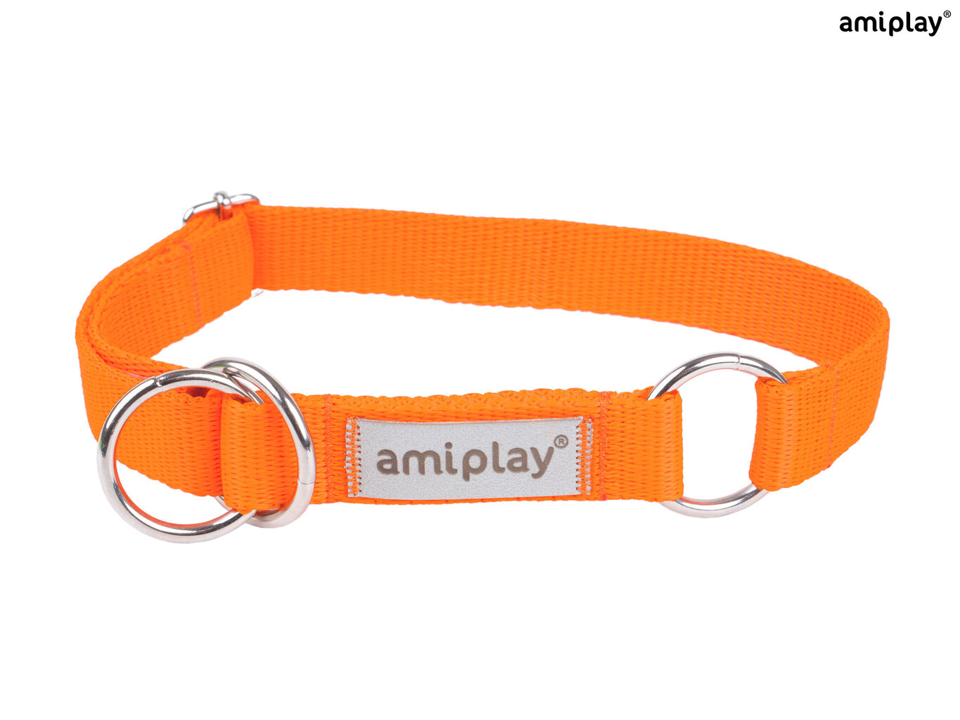 Amiplay puolikaulus Samba, M, oranssi. hinta ja tiedot | Koiran valjaat ja kaulapannat | hobbyhall.fi