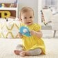 Fisher Price vauvanorsulelu, sininen hinta ja tiedot | Vauvan lelut | hobbyhall.fi