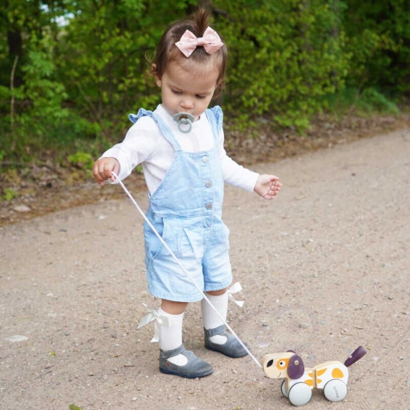 Puppy Pull Toy -lelu hinta ja tiedot | Vauvan lelut | hobbyhall.fi
