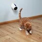 Automaattinen laserosoitin kissoille Trixie hinta ja tiedot | Kissan lelut | hobbyhall.fi