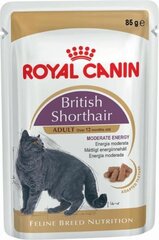 Royal Canin brittiläisille lyhytkarvaisille, 85 gx 12 kpl hinta ja tiedot | Kissanruoka | hobbyhall.fi