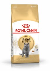 Kissanruoka Royal Canin British Shorthair 10 kg hinta ja tiedot | Kissan kuivaruoka | hobbyhall.fi