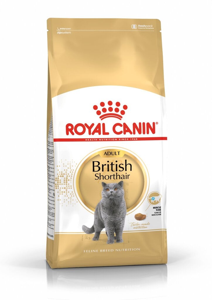 Kissanruoka Royal Canin British Shorthair 10 kg hinta ja tiedot | Kissan kuivaruoka | hobbyhall.fi