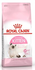 Kitten ruoka Royal Canin Kitten 10 kg hinta ja tiedot | Kissan kuivaruoka | hobbyhall.fi