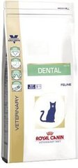 Kuivaruoka Royal Canin terveille hampaille kissoille Cat dental, 3 kg hinta ja tiedot | Kissan kuivaruoka | hobbyhall.fi