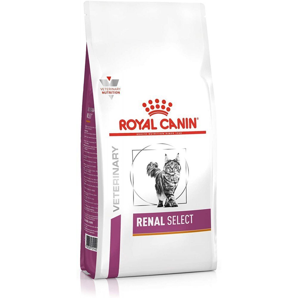 Kuivaruoka munuaisongelmista kärsiville kissoille Royal Canin Cat Renal special, 2 kg hinta ja tiedot | Kissan kuivaruoka | hobbyhall.fi