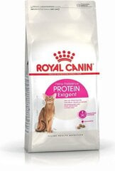 Royal Canin aikuisille kissoille Exigent Protein Preference, 2 kg hinta ja tiedot | Kissan kuivaruoka | hobbyhall.fi