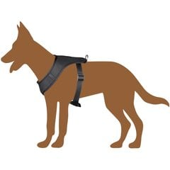 Olkahihnat koirille 67,6-106,5 cm. hinta ja tiedot | Koiran valjaat ja kaulapannat | hobbyhall.fi