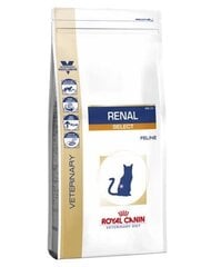 Kuivaruoka munuaisongelmista kärsiville kissoille Royal Canin Cat Renal Select, 4 kg hinta ja tiedot | Kissan kuivaruoka | hobbyhall.fi