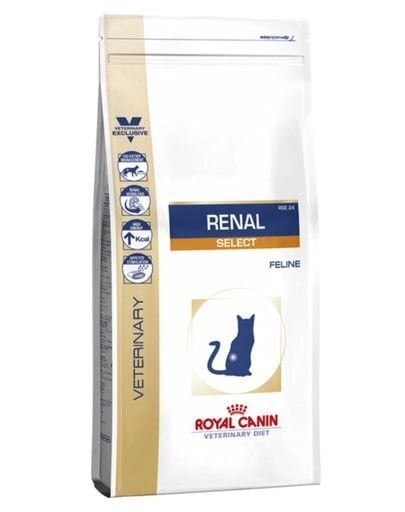 Kuivaruoka munuaisongelmista kärsiville kissoille Royal Canin Cat Renal Select, 4 kg hinta ja tiedot | Kissan kuivaruoka | hobbyhall.fi