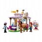 41746 LEGO® Friends Ratsastustunti + pehmotyyny Cat 50 cm hinta ja tiedot | LEGOT ja rakennuslelut | hobbyhall.fi