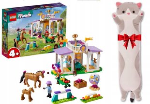 41746 LEGO® Friends Ratsastustunti + pehmotyyny Cat 50 cm hinta ja tiedot | LEGOT ja rakennuslelut | hobbyhall.fi