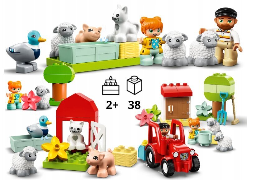 LEGO® Duplo -rakennussetti ja pehmotyyny Cat hinta ja tiedot | LEGOT ja rakennuslelut | hobbyhall.fi