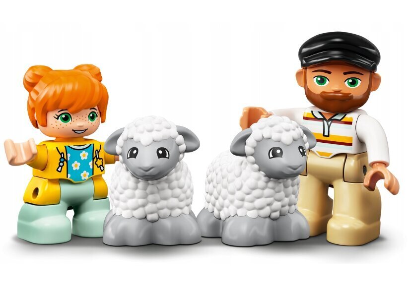 LEGO® Duplo -rakennussetti ja pehmotyyny Cat hinta ja tiedot | LEGOT ja rakennuslelut | hobbyhall.fi