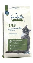 Sanabelle isokokoisille kissoille Grande, 2 kg hinta ja tiedot | Kissan kuivaruoka | hobbyhall.fi