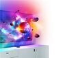 Nanoleaf 4D TV Screen Mirror + Light Strips Kit NF082K02-40LS hinta ja tiedot | TV-lisätarvikkeet | hobbyhall.fi