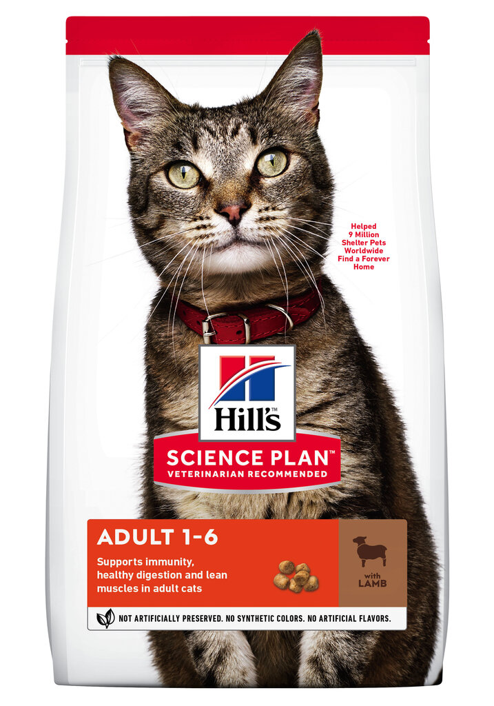 Hill's Science Plan Adult - Kissan kuivaruoka, aikuiselle kissalle, lammasta ja riisiä, 300g hinta ja tiedot | Kissan kuivaruoka | hobbyhall.fi