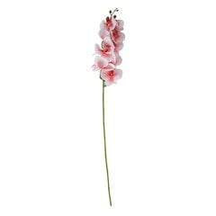 Tekokukka FLOWERLY H96cm, magnoolia, sekoitus hinta ja tiedot | Keinotekoiset kukat | hobbyhall.fi
