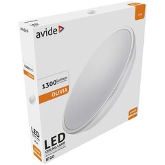 LED kattovalaisin AVIDE Olivia Silver 15W hinta ja tiedot | Avide Huonekalut ja sisustus | hobbyhall.fi